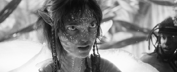 1768372882680664.png image.png